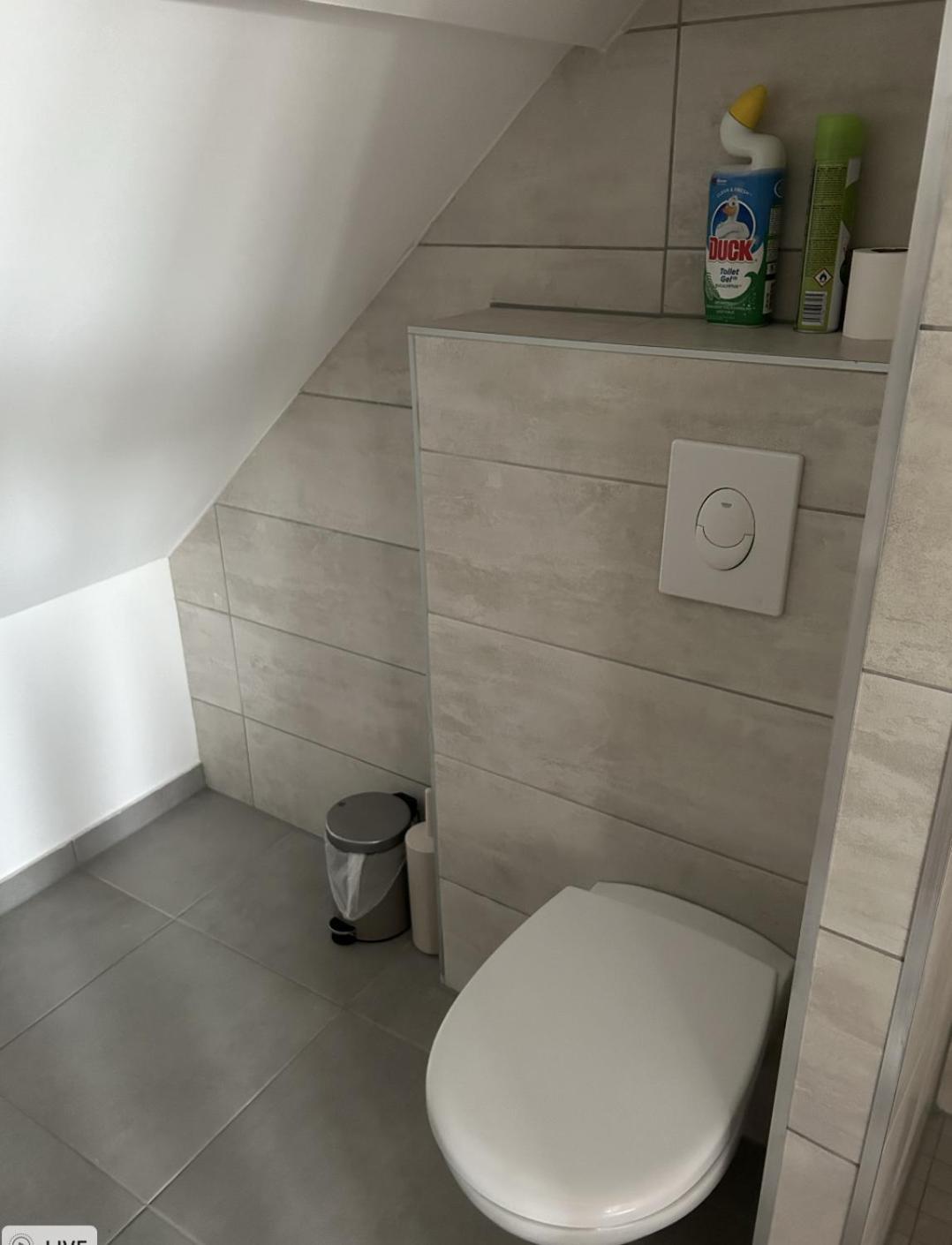Aux Cigogneaux Appartement Guémar Buitenkant foto